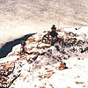 John L. Wagner Photo #1