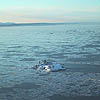 Scott Holman photos