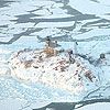 Scott Holman photos